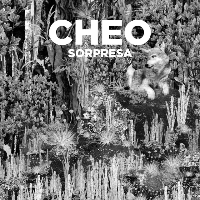 Portada de Latin-Roll - Entrevistas